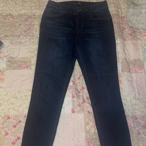 Blue Denim 1822 Skinny Pants Size 8